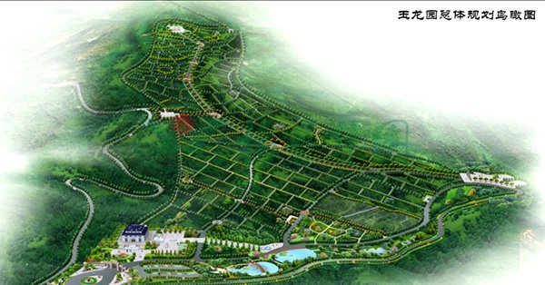 永乐高·(中国区)官方网站