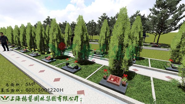 永乐高·(中国区)官方网站