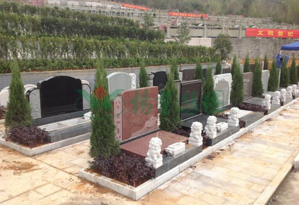 永乐高·(中国区)官方网站