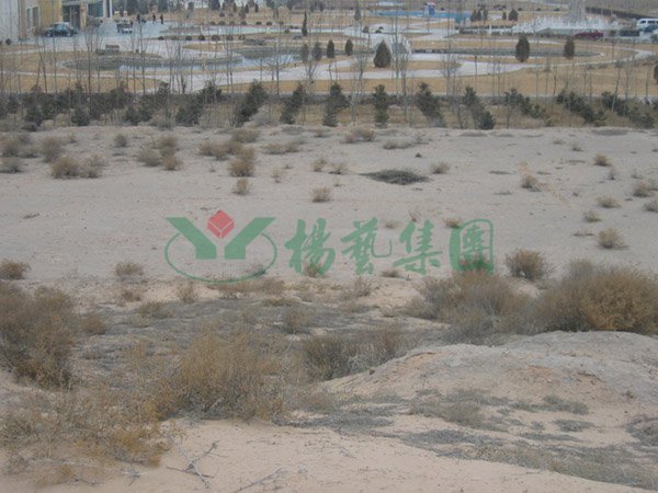 永乐高·(中国区)官方网站