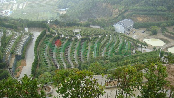 永乐高·(中国区)官方网站