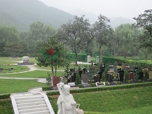 永乐高·(中国区)官方网站