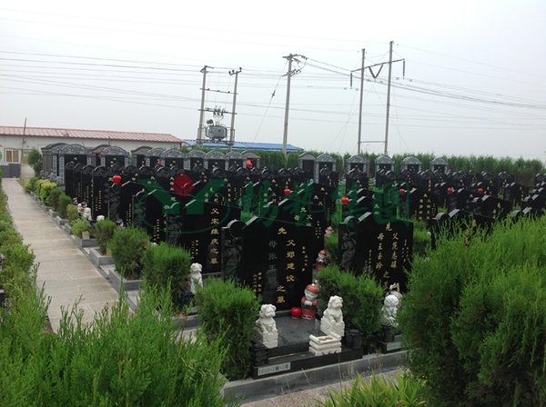 永乐高·(中国区)官方网站