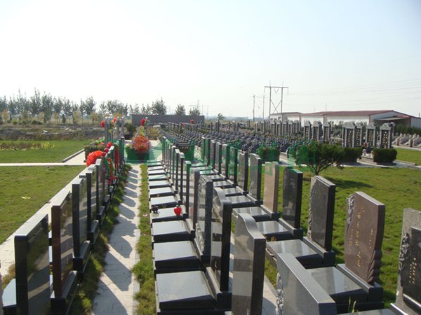 永乐高·(中国区)官方网站