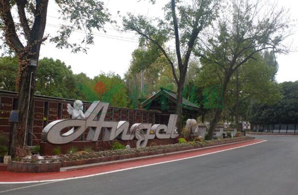 永乐高·(中国区)官方网站