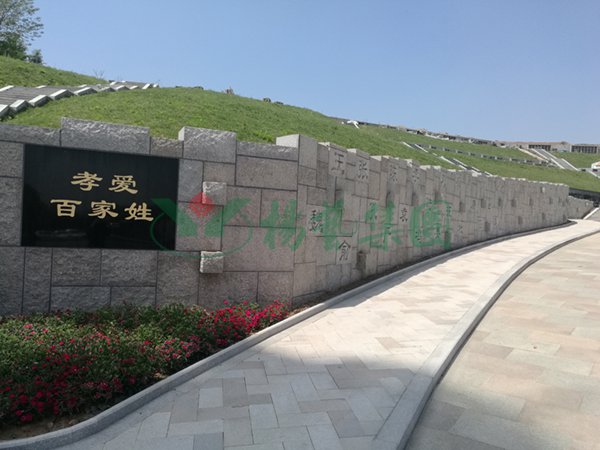 永乐高·(中国区)官方网站