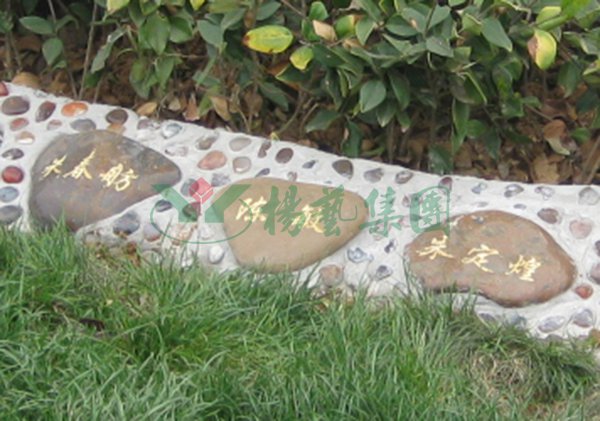 永乐高·(中国区)官方网站