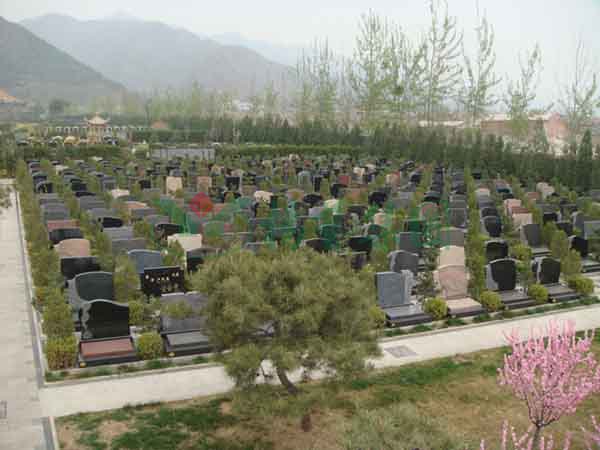 永乐高·(中国区)官方网站