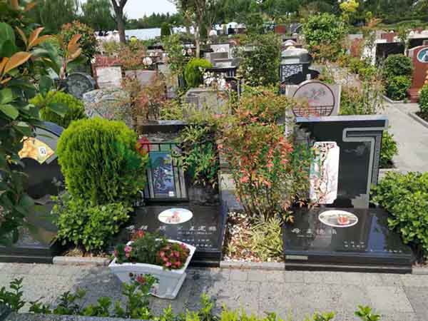 永乐高·(中国区)官方网站