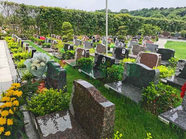 永乐高·(中国区)官方网站