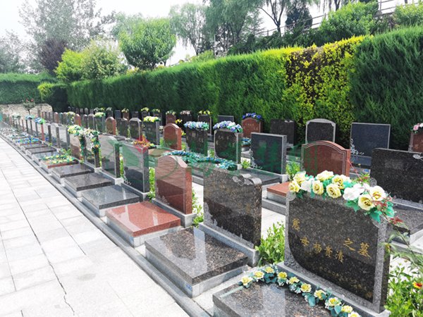 永乐高·(中国区)官方网站