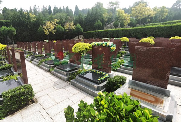 永乐高·(中国区)官方网站