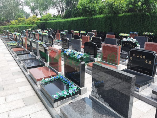 永乐高·(中国区)官方网站