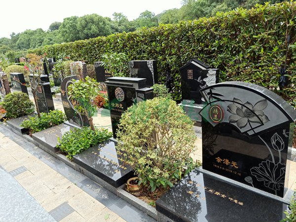 永乐高·(中国区)官方网站