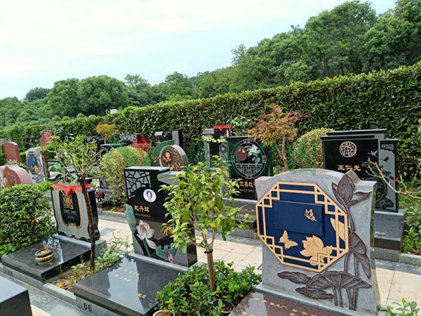 永乐高·(中国区)官方网站