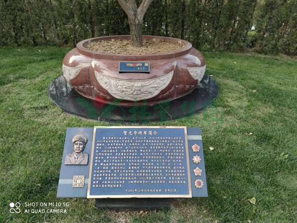 永乐高·(中国区)官方网站