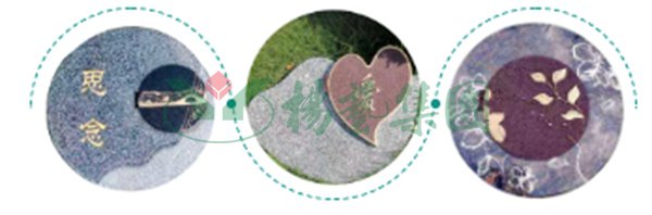 永乐高·(中国区)官方网站