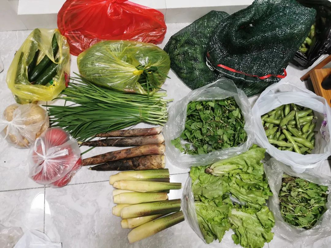 永乐高·(中国区)官方网站