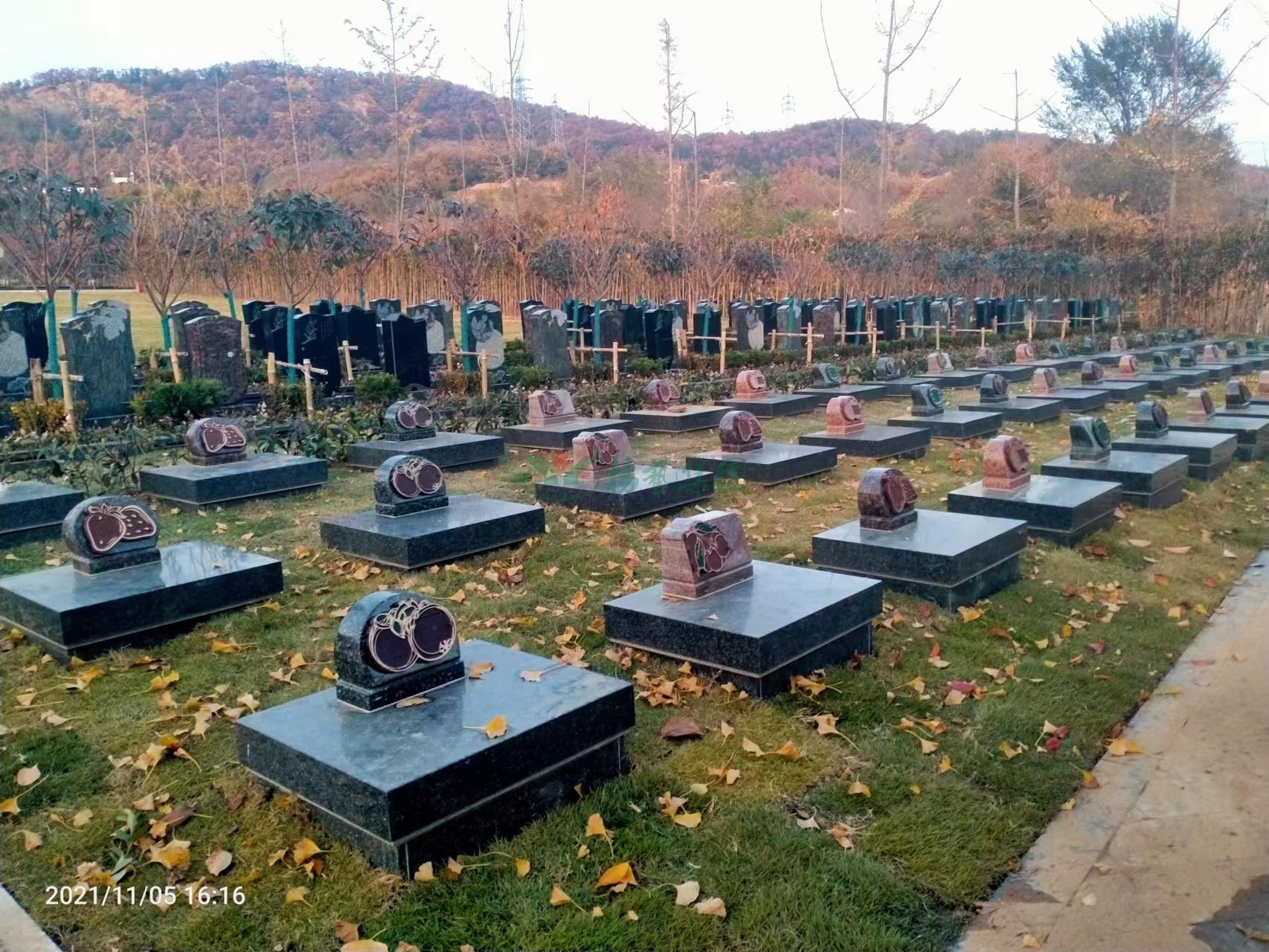 永乐高·(中国区)官方网站