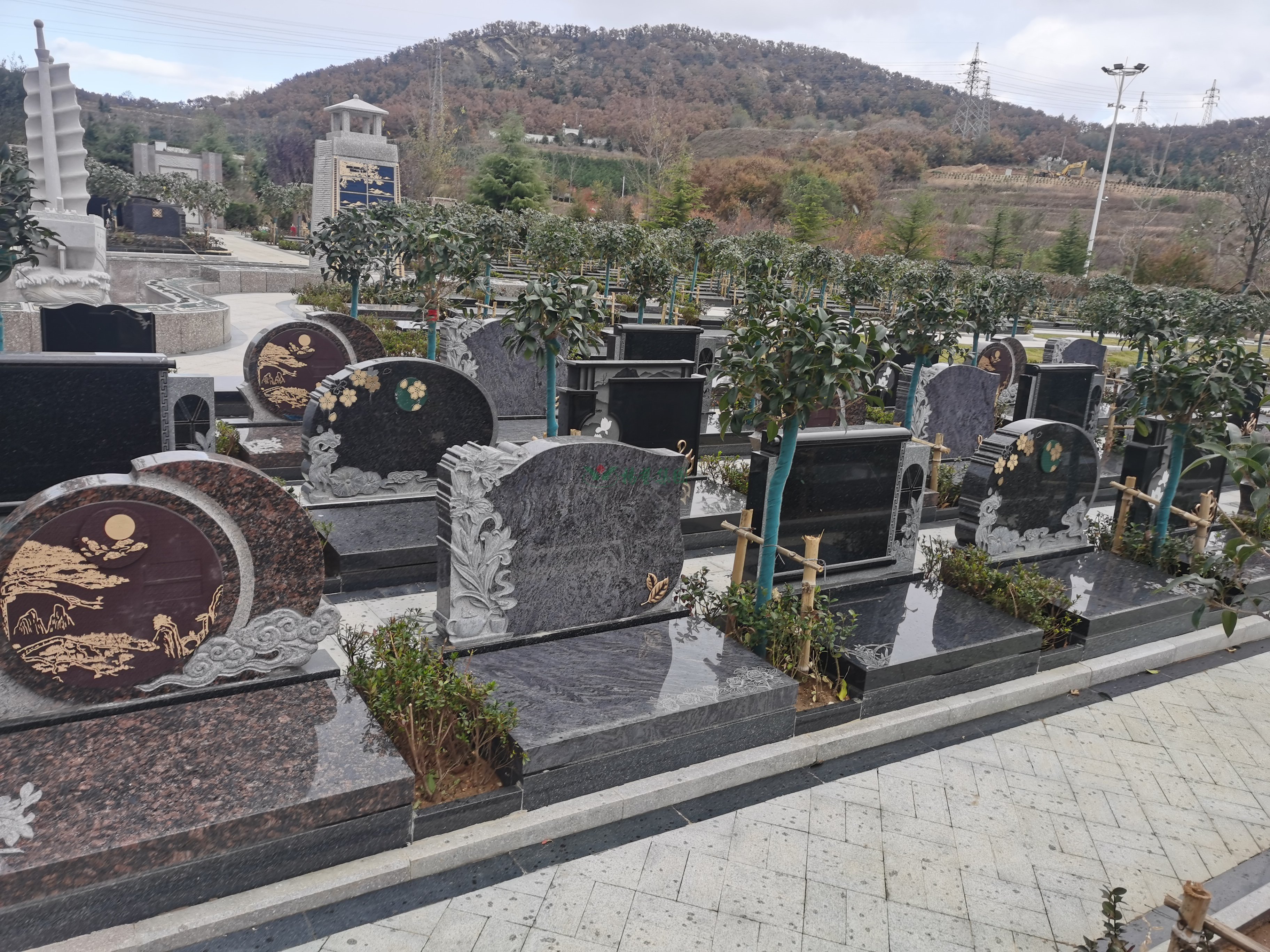 永乐高·(中国区)官方网站