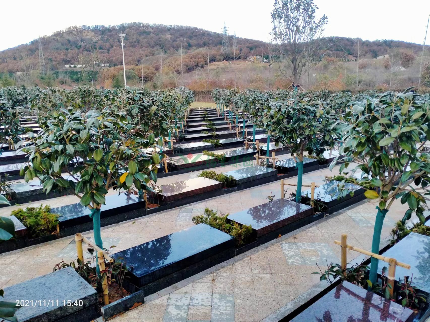 永乐高·(中国区)官方网站