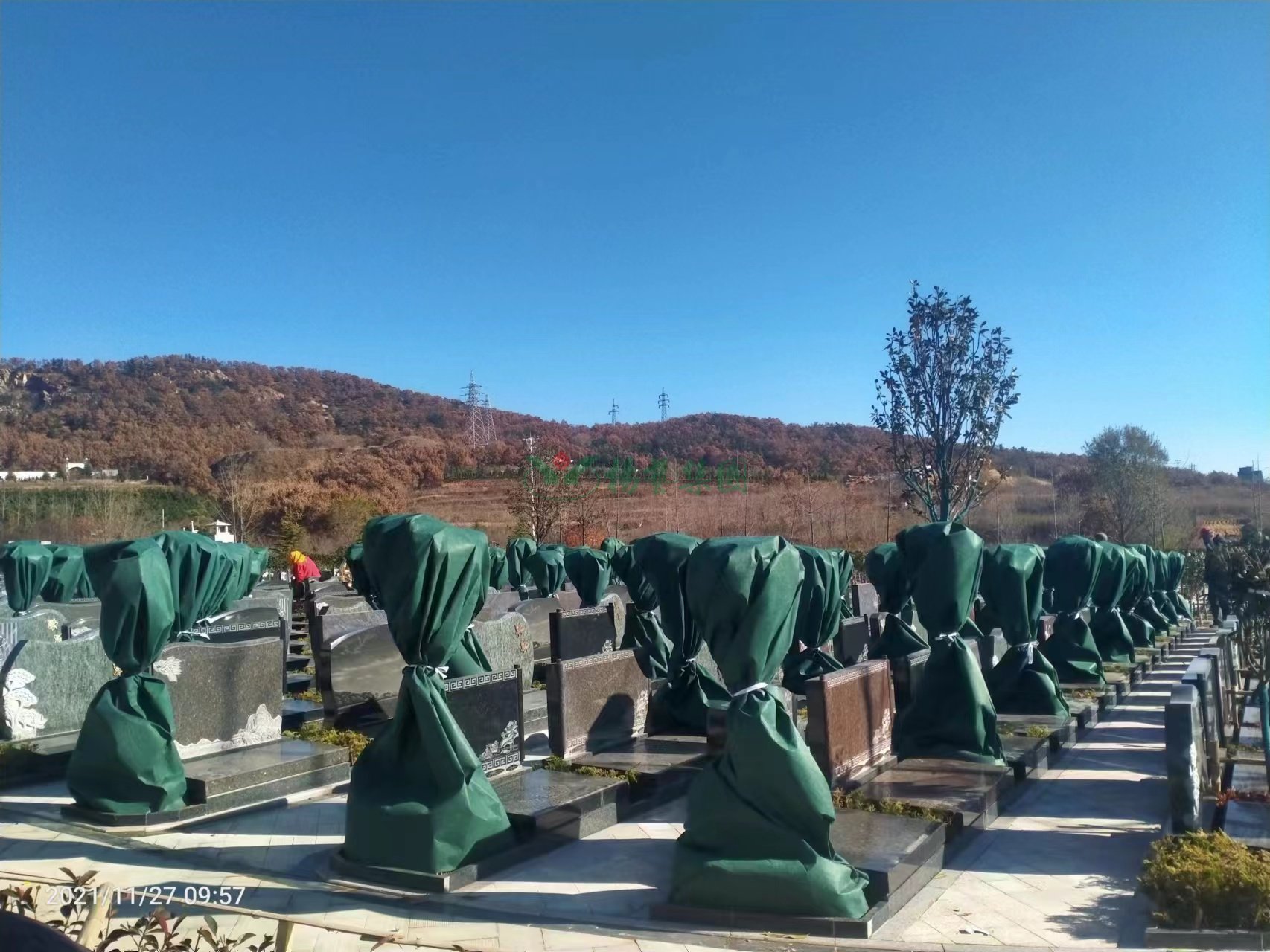 永乐高·(中国区)官方网站