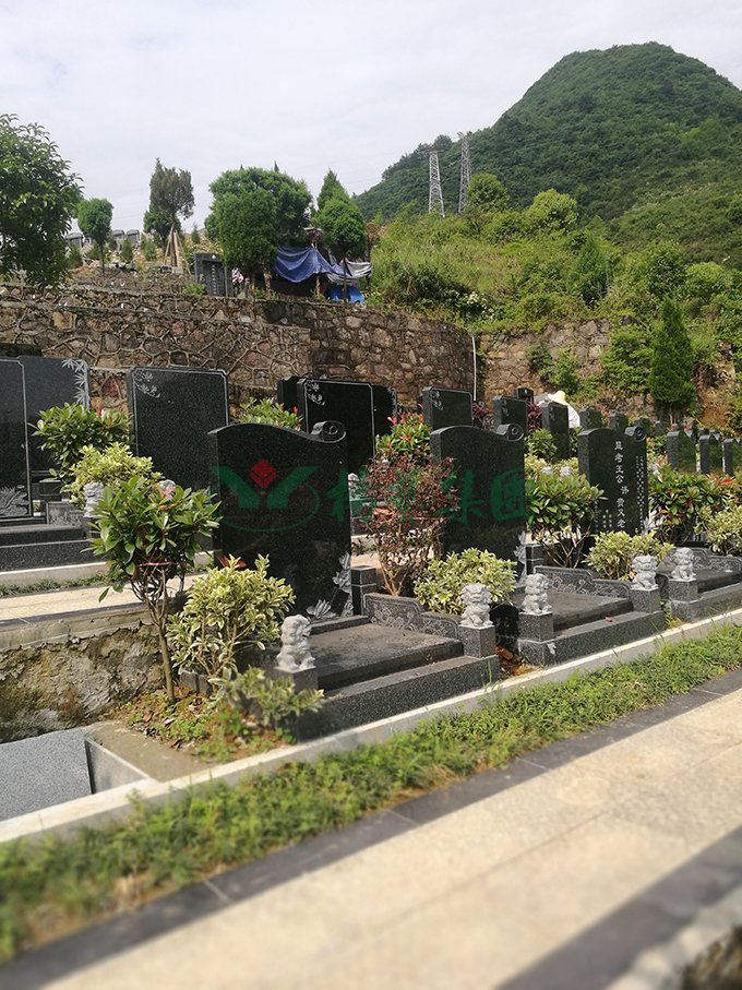 永乐高·(中国区)官方网站