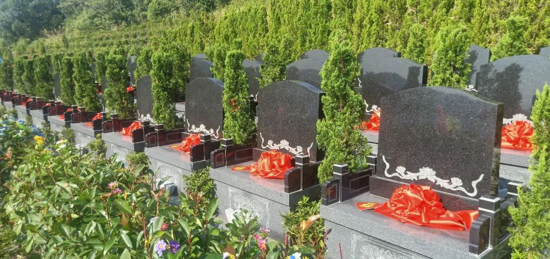 永乐高·(中国区)官方网站