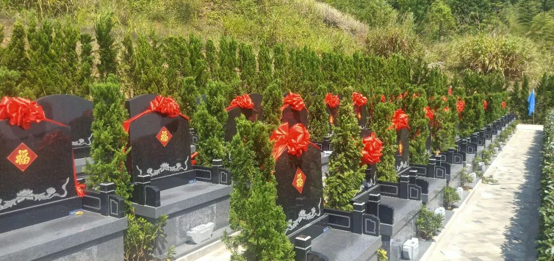 永乐高·(中国区)官方网站