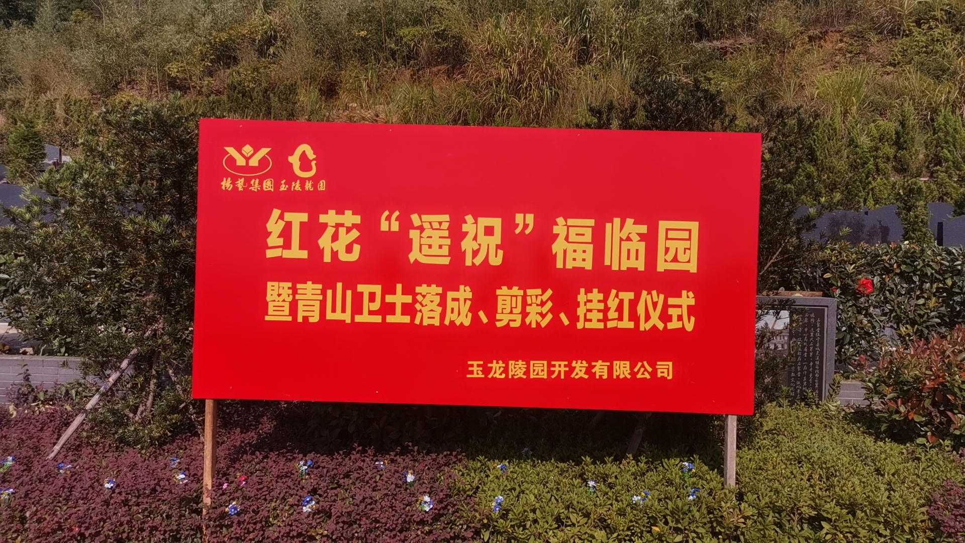 红花传爱意，，，，，，情满玉龙园！