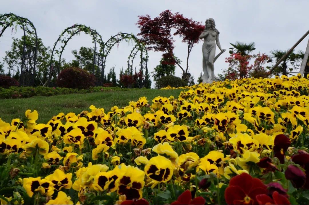 永乐高·(中国区)官方网站