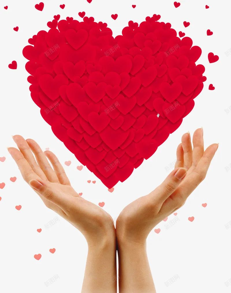 永乐高·(中国区)官方网站