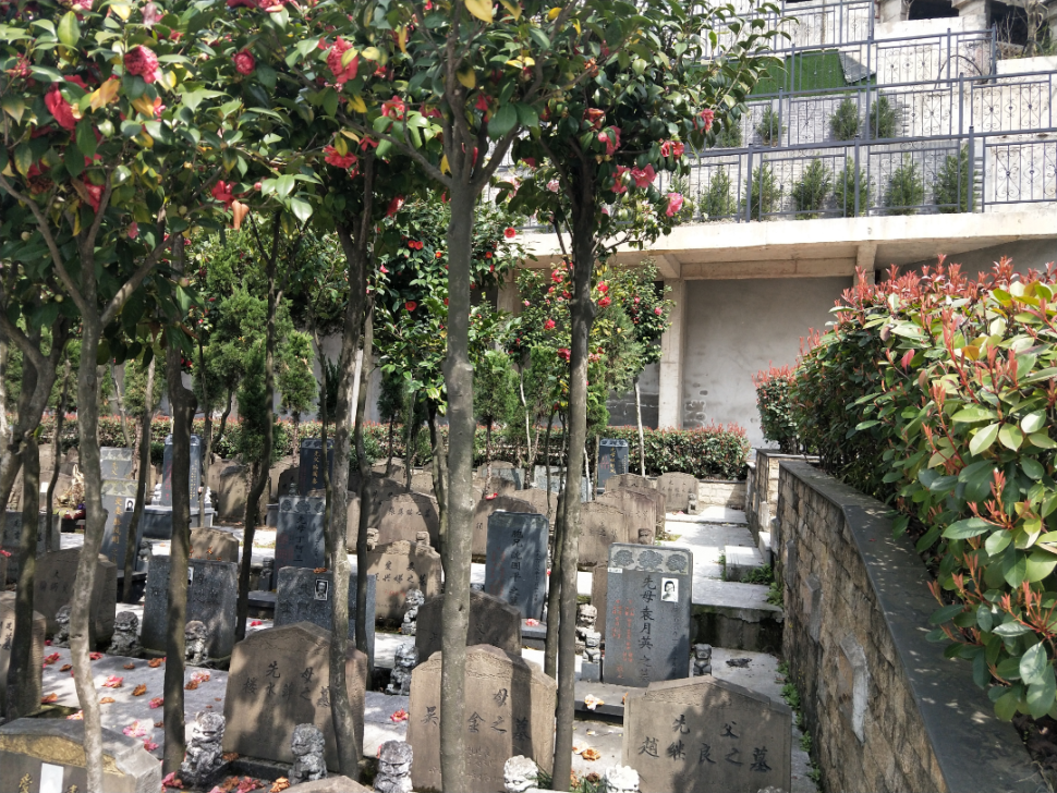 永乐高·(中国区)官方网站