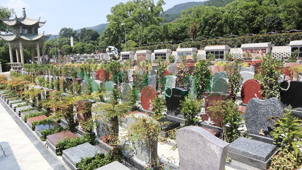 永乐高·(中国区)官方网站