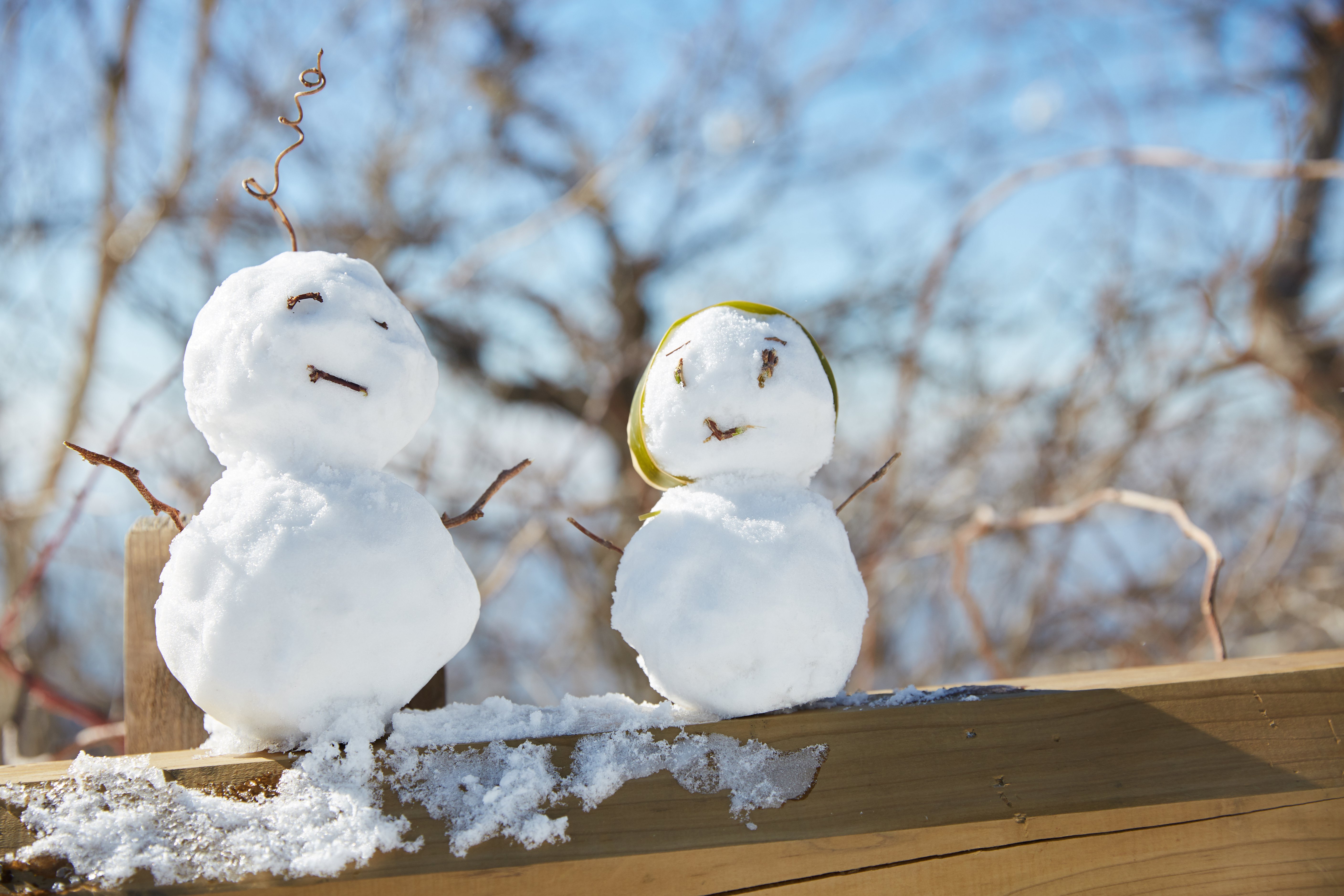 冬至，，，，，暖“杨”相伴 | 永乐高人全力配合各墓园冬至落葬