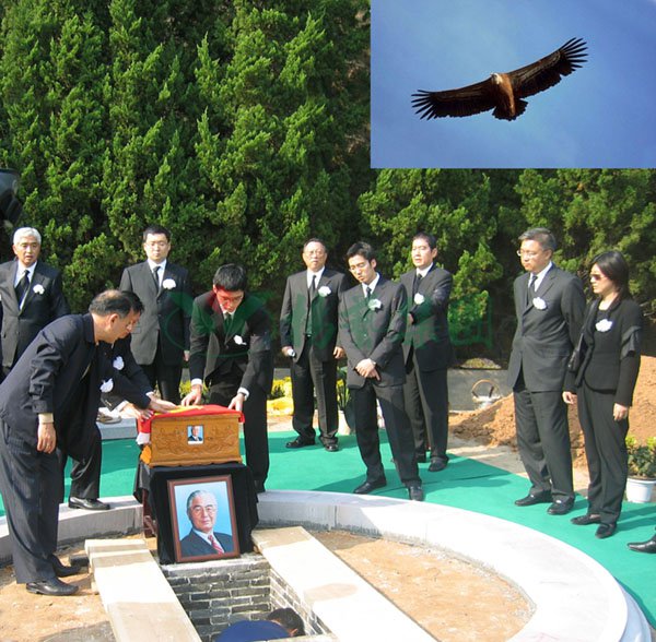 永乐高·(中国区)官方网站