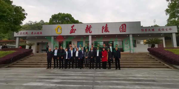 永乐高·(中国区)官方网站