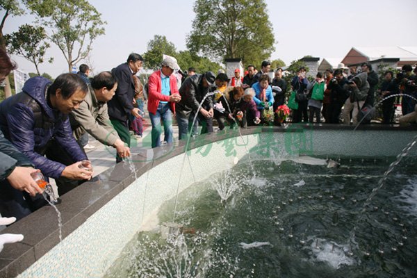 永乐高·(中国区)官方网站