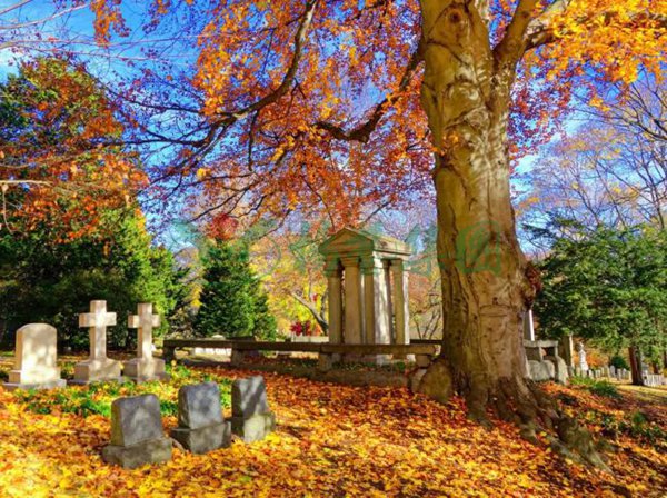 永乐高·(中国区)官方网站