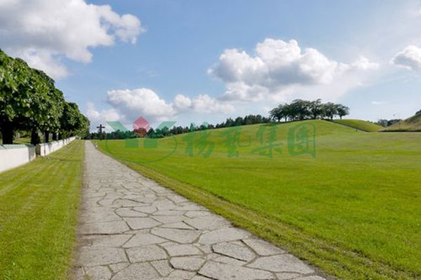 永乐高·(中国区)官方网站