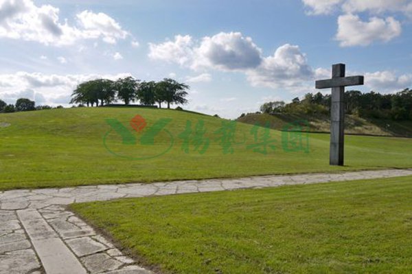 永乐高·(中国区)官方网站