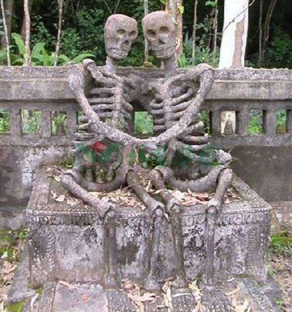 永乐高·(中国区)官方网站