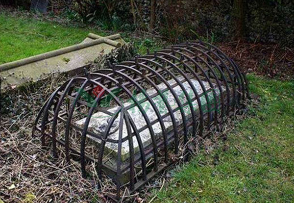 永乐高·(中国区)官方网站