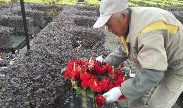 永乐高·(中国区)官方网站