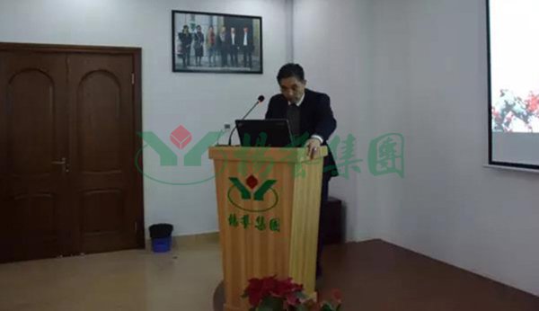 永乐高·(中国区)官方网站