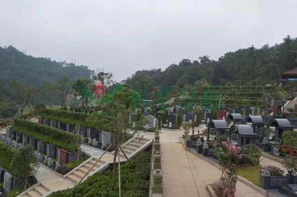 永乐高·(中国区)官方网站