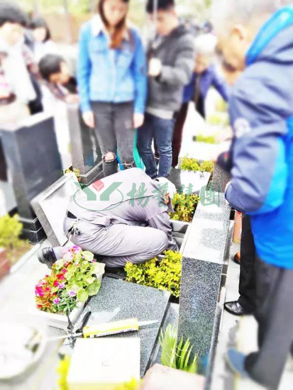 永乐高·(中国区)官方网站