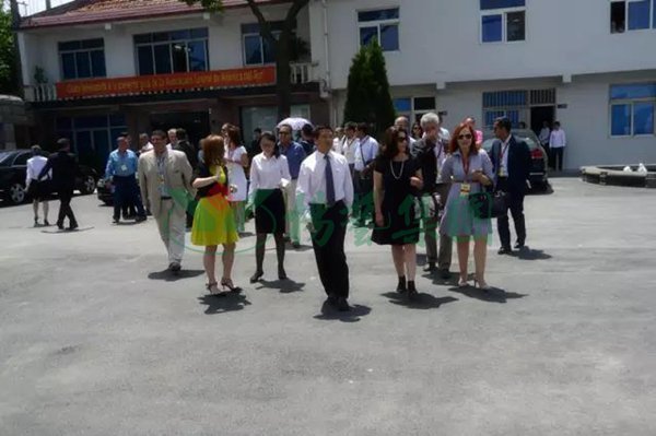 永乐高·(中国区)官方网站