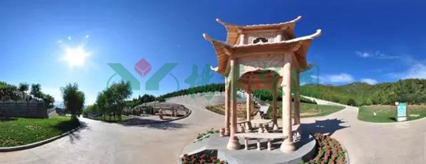 永乐高·(中国区)官方网站