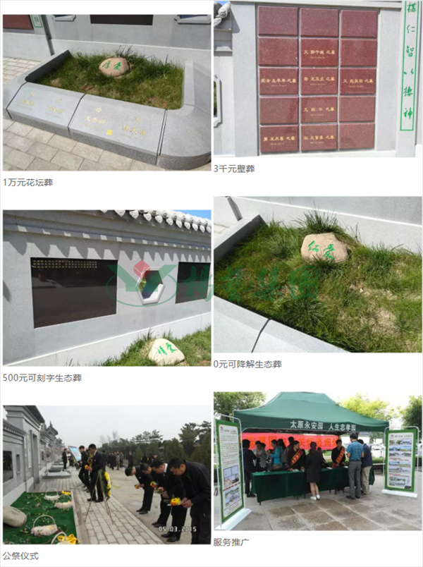 永乐高·(中国区)官方网站